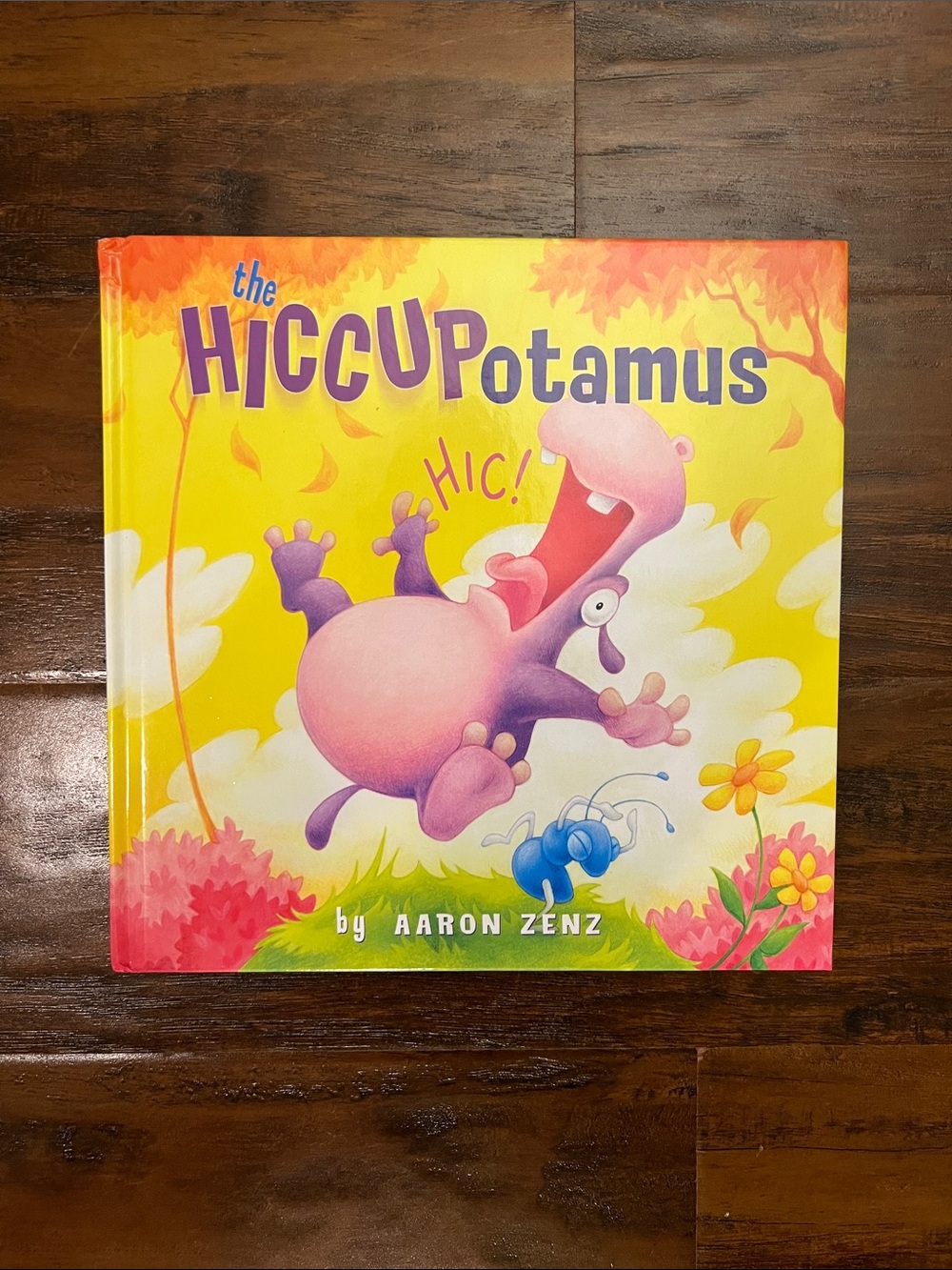 5/$10 Kids Books | The Hiccupotamus